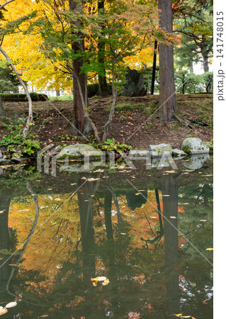 秋の公園の紅葉したカエデの樹を映す小川の水面 141748015