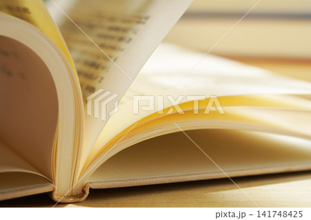 読書・本のページをめくる 読書・本のページをめくる 141748425