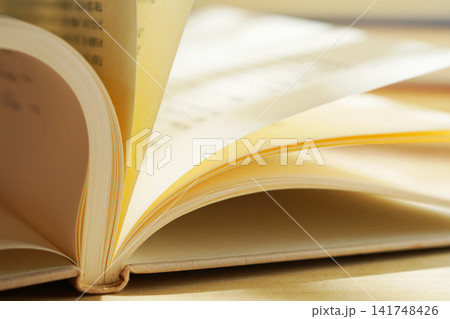 読書・本のページをめくる 読書・本のページをめくる 141748426