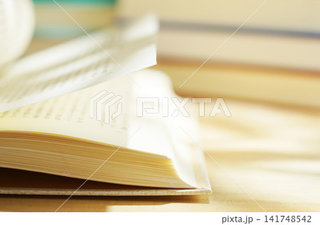 読書・本のページをめくる 読書・本のページをめくる 141748542