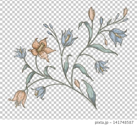 Flower watercolor illustration. Botanical floral branch isolated on background. Decorative blossom element for invitations, stationery and vintage botanical projects. Flower watercolor illustration. Botanical floral branch isolated on background. Decorative blossom element for invitations, stationery and vintage botanical projects. 141748587