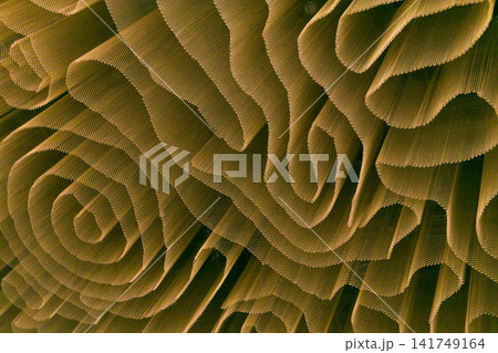 Abstract background, curves and spirals of mesh curtain, interior design element of office building 141749164