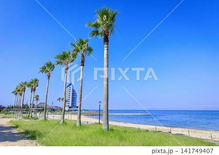 常滑市、快晴の大野海水浴場の風景 常滑市、快晴の大野海水浴場の風景 141749407