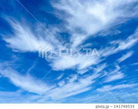 Soft White Cirrus Clouds on Bright Blue Sky Background Soft White Cirrus Clouds on Bright Blue Sky Background 141749535