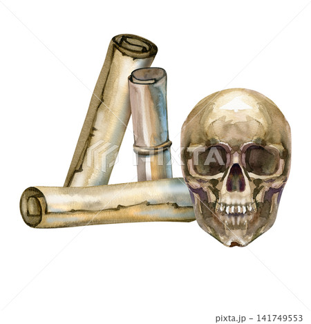 Hand drawn watercolor illustration of a human skull next to vintage paper scrolls. Antique gothic composition for historical design, literature, cards, and Halloween. Hand drawn watercolor illustration of a human skull next to vintage paper scrolls. Antique gothic composition for historical design, literature, cards, and Halloween. 141749553