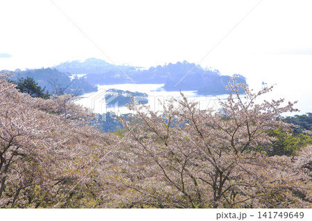 西行戻しの松公園 西行戻しの松公園 141749649