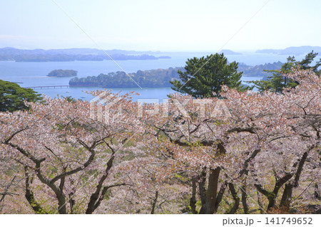 西行戻しの松公園 西行戻しの松公園 141749652