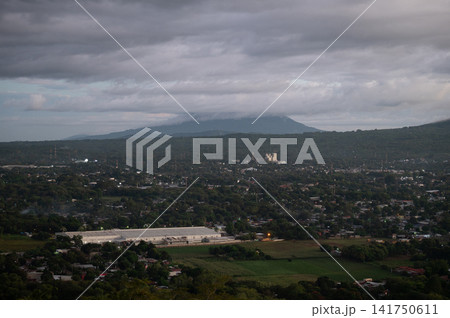 Big plant in green Nicaragua background Big plant in green Nicaragua background 141750611