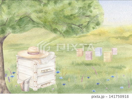 Wooden beehive, beekeeper protective hat and smoker in summer meadow with flowers and tree. Watercolor apiary scene, Rural agricultural farming and countryside living concept for honey production. 141750918