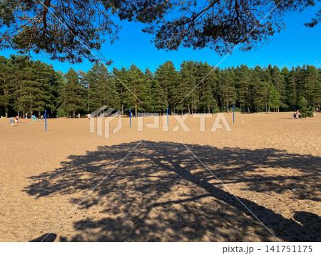 Forest Sandy Beach Volleyball Court Forest Sandy Beach Volleyball Court 141751175
