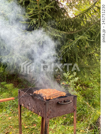 Grilling Meat On BBQ In Forest Grilling Meat On BBQ In Forest 141751230