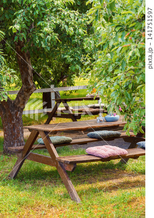 Cozy picnic and relaxation area, outdoor garden cafe with wooden table under shady trees Cozy picnic and relaxation area, outdoor garden cafe with wooden table under shady trees 141751597