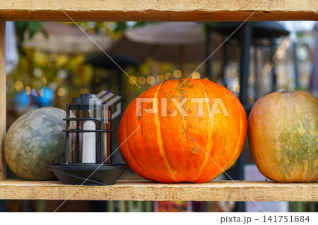 Rustic Halloween and Thanksgiving pumpkins, holiday decoration on wooden shelves with lanterns Rustic Halloween and Thanksgiving pumpkins, holiday decoration on wooden shelves with lanterns 141751684