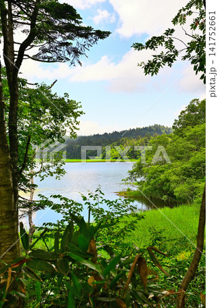 尾瀬沼 大江湿原付近からの眺め 夏の風景 尾瀬沼 大江湿原付近からの眺め 夏の風景 141752661