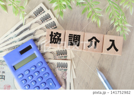為替の協調介入。木製ブロック。電卓と観葉植物。ビジネスイメージ。 為替の協調介入。木製ブロック。電卓と観葉植物。ビジネスイメージ。 141752982