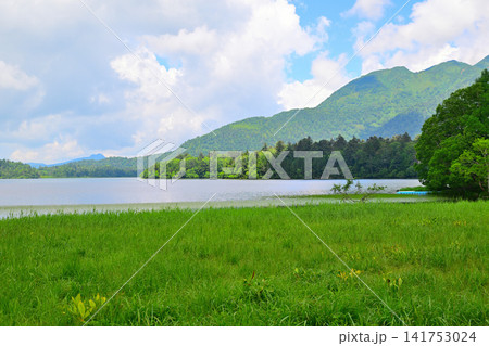 尾瀬沼 燧ケ岳 大江湿原からの眺め 夏の風景 尾瀬沼 燧ケ岳 大江湿原からの眺め 夏の風景 141753024