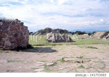 メキシコ・オアハカ イトスギの木 メキシコ・オアハカ イトスギの木 141753983