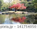 池のある風景 141754050