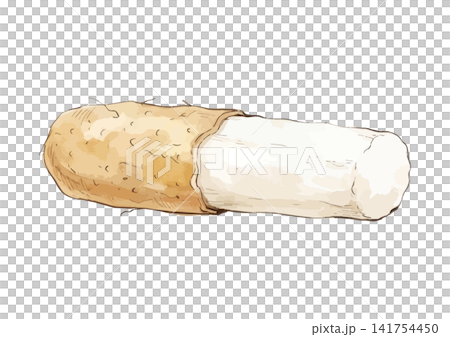 A mouthwatering illustration of a Japanese yam A mouthwatering illustration of a Japanese yam 141754450