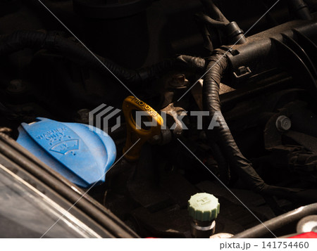 Engine oil dipstick and screenwash tank in car 141754460