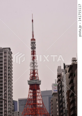 東京タワー 芝付近 桜田通り 東京タワー 芝付近 桜田通り 141755117