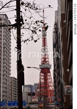 東京タワー 芝付近 東京タワー 芝付近 141755118