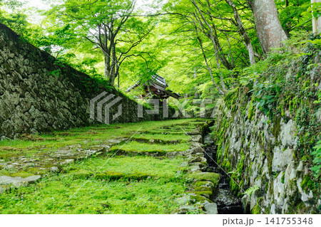 【滋賀県東近江市】百済寺 苔むす表門前と新緑の絶景 【滋賀県東近江市】百済寺 苔むす表門前と新緑の絶景 141755348