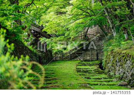 【滋賀県東近江市】百済寺 苔むす表門前と新緑の絶景 【滋賀県東近江市】百済寺 苔むす表門前と新緑の絶景 141755355
