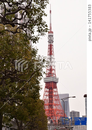 東京タワー 芝付近 桜田通り 東京タワー 芝付近 桜田通り 141755383