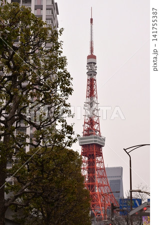 東京タワー 芝付近 桜田通り 東京タワー 芝付近 桜田通り 141755387