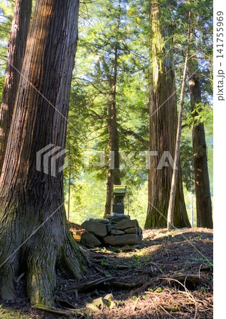 親都神社の石祠(縦) 親都神社の石祠(縦) 141755969