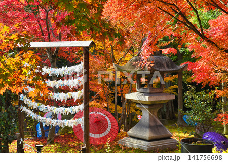 京都 勝林寺 秋の美しい紅葉(京都府京都市東山区) 京都 勝林寺 秋の美しい紅葉(京都府京都市東山区) 141756698