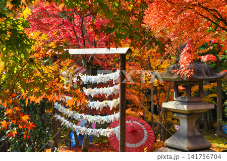 京都 勝林寺 秋の美しい紅葉(京都府京都市東山区) 京都 勝林寺 秋の美しい紅葉(京都府京都市東山区) 141756704