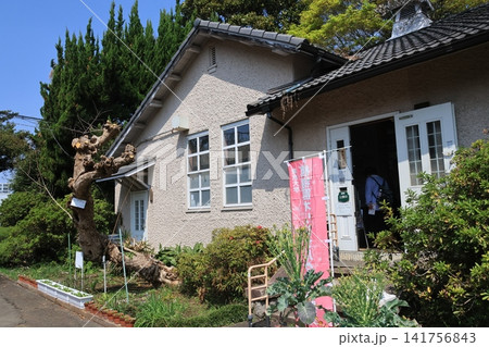 東京都文京区の小石川植物園に建つ柴田記念館の建物 141756843