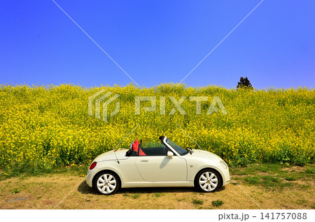 菜の花畑の道を車でドライブするイメージ 菜の花畑の道を車でドライブするイメージ 141757088
