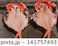 金目の天日干し 141757493