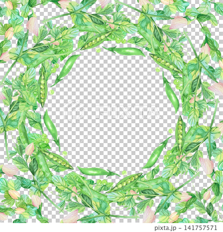 Square frame of the peas. Watercolor illustration. Handmade art work. For packaging design, cards, cover, prints, product labels and fabric. Square frame of the peas. Watercolor illustration. Handmade art work. For packaging design, cards, cover, prints, product labels and fabric. 141757571