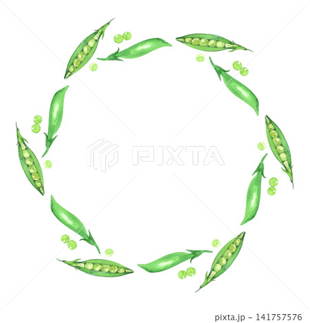 Wreath of the green pea. Watercolor illustration. Handmade art work. For packaging design, cards, cover, prints, product labels and fabric. Wreath of the green pea. Watercolor illustration. Handmade art work. For packaging design, cards, cover, prints, product labels and fabric. 141757576