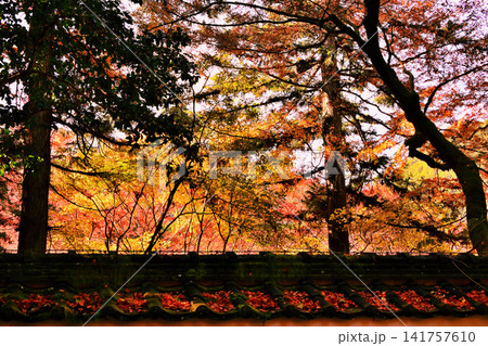 紅葉が美しい晩秋の風景 紅葉が美しい晩秋の風景 141757610