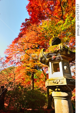 紅葉が美しい晩秋の風景 紅葉が美しい晩秋の風景 141757727