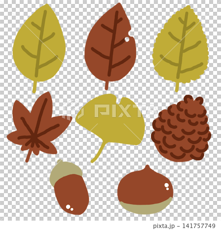 Autumn leaves and nuts set Autumn leaves and nuts set 141757749