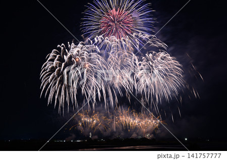 夜空に咲く花火 <大井川花火大会2026> 夜空に咲く花火 <大井川花火大会2026> 141757777