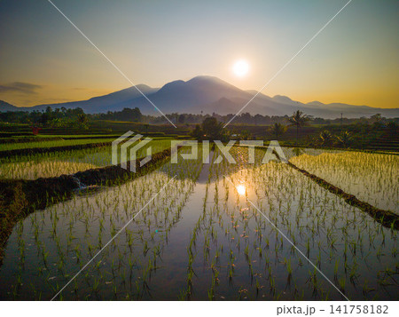 Aerial view of Sapa rice terraces at sunrise with golden light over green fields and misty mountain valleys 141758182