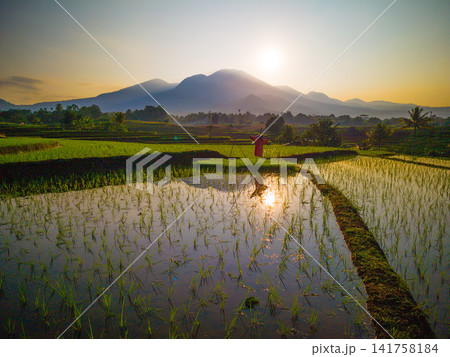 Aerial view of Sapa rice terraces at sunrise with golden light over green fields and misty mountain valleys 141758184