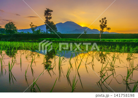 Aerial view of Sapa rice terraces at sunrise with golden light over green fields and misty mountain valleys 141758198