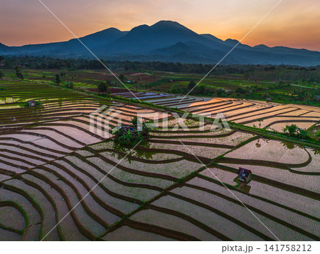 Aerial view of Sapa rice terraces at sunrise with golden light over green fields and misty mountain valleys Aerial view of Sapa rice terraces at sunrise with golden light over green fields and misty mountain valleys 141758212
