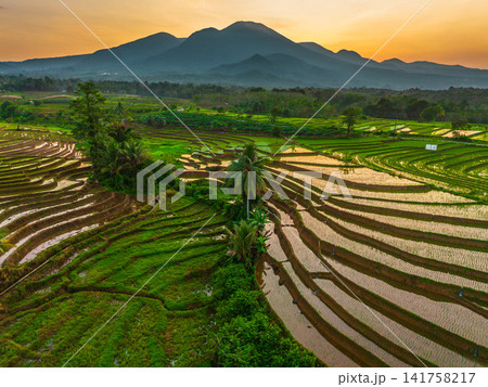 Aerial view of Sapa rice terraces at sunrise with golden light over green fields and misty mountain valleys Aerial view of Sapa rice terraces at sunrise with golden light over green fields and misty mountain valleys 141758217