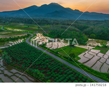 Aerial view of Sapa rice terraces at sunrise with golden light over green fields and misty mountain valleys Aerial view of Sapa rice terraces at sunrise with golden light over green fields and misty mountain valleys 141758218