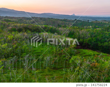 Aerial view of Sapa rice terraces at sunrise with golden light over green fields and misty mountain valleys Aerial view of Sapa rice terraces at sunrise with golden light over green fields and misty mountain valleys 141758224