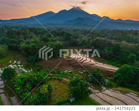 Aerial view of Sapa rice terraces at sunrise with golden light over green fields and misty mountain valleys Aerial view of Sapa rice terraces at sunrise with golden light over green fields and misty mountain valleys 141758225